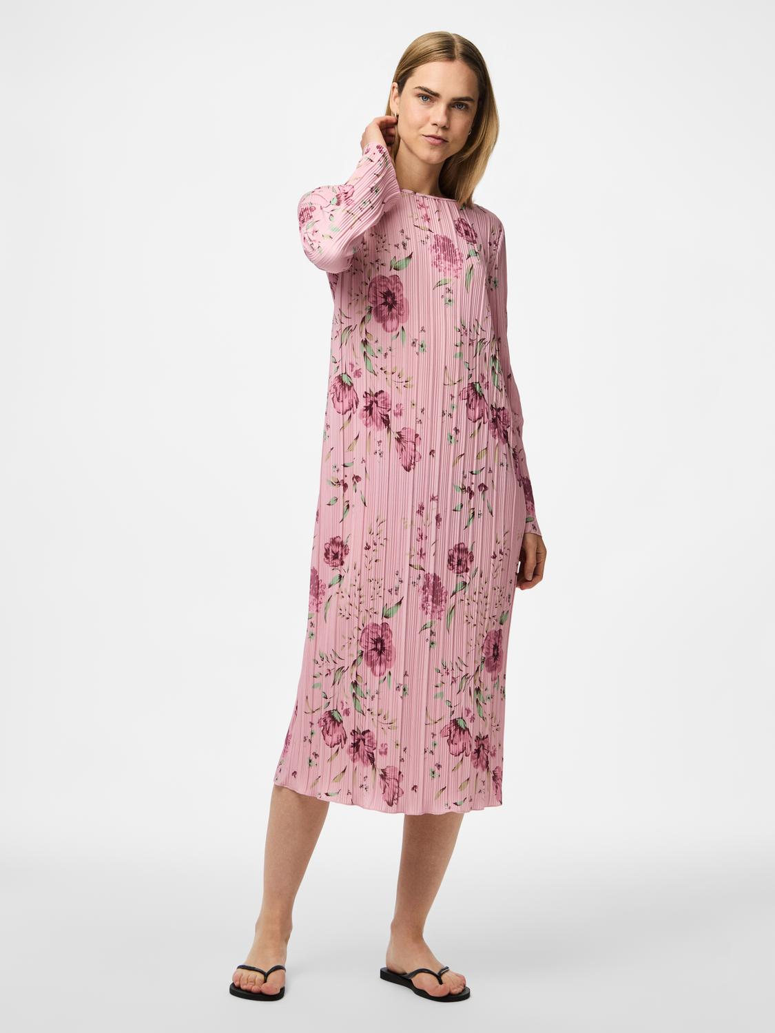 model_shot-front_full